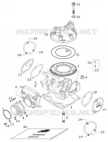 CYLINDER for KTM EXC 2001